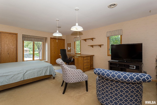 28018 230th St, Le Claire, IA 52753 - bedroom with light colored carpet, two closets, visible vents, and multiple windows