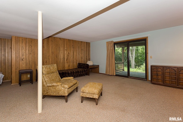 28018 230th St, Le Claire, IA 52753 - living area featuring carpet floors and wooden walls