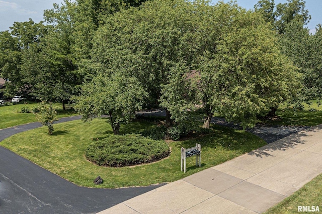 28018 230th St, Le Claire, IA 52753 - view of front of property featuring a front yard