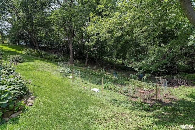 28018 230th St, Le Claire, IA 52753 - view of yard