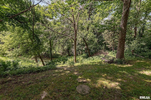 28018 230th St, Le Claire, IA 52753 - view of yard with a wooded view