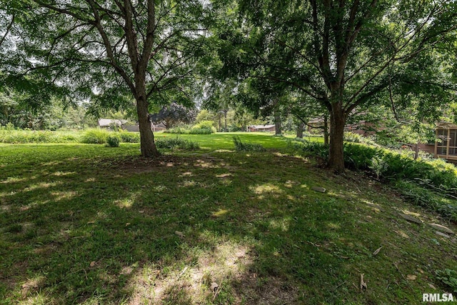 28018 230th St, Le Claire, IA 52753 - view of yard