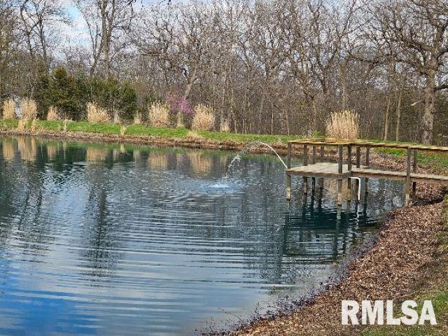1029 E 2250th St, Liberty, IL 62347