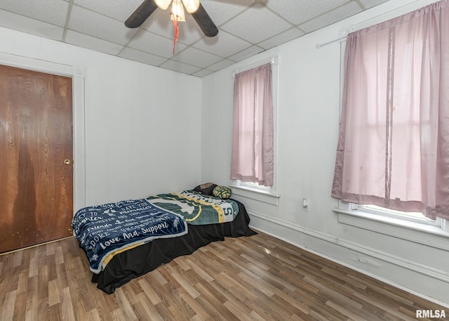 bedroom with ceiling fan, a drop ceiling, wood finished floors, and multiple windows