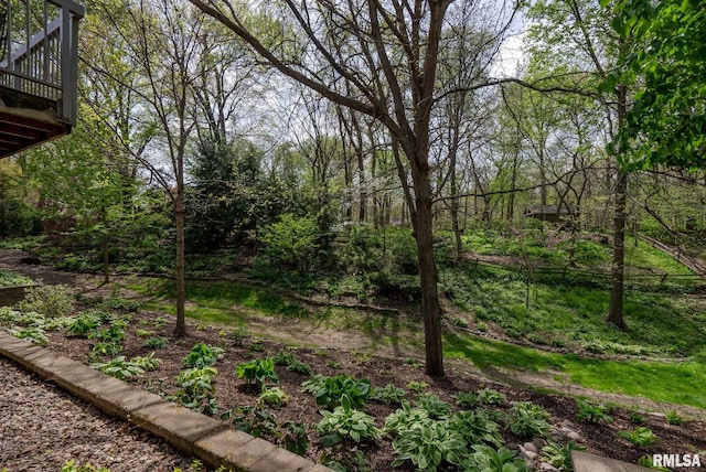 view of yard featuring a wooden deck and a wooded view
