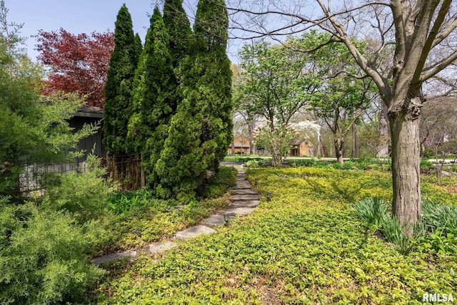 view of yard