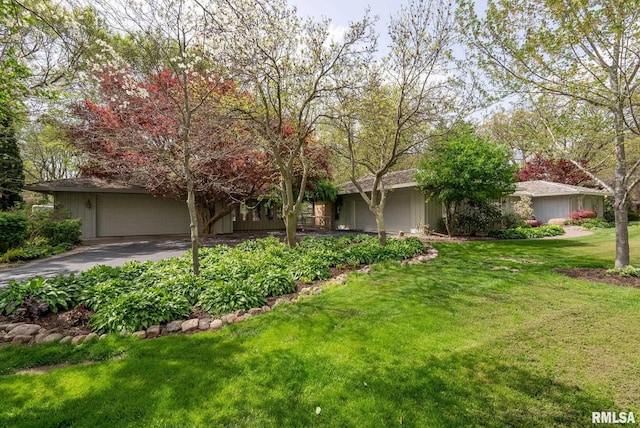view of front of property with a front lawn and aphalt driveway