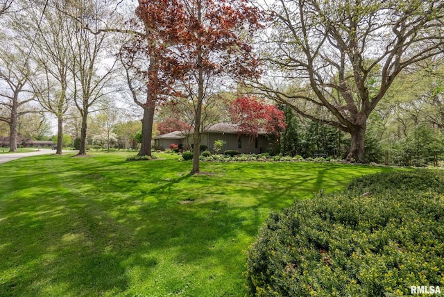 view of yard
