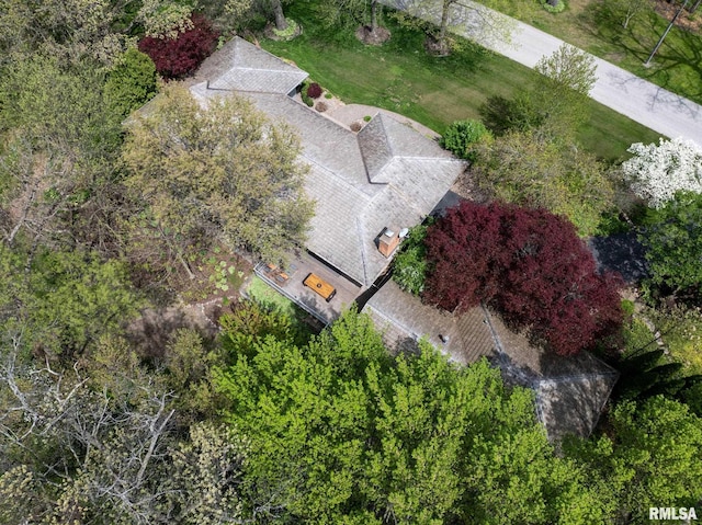bird's eye view