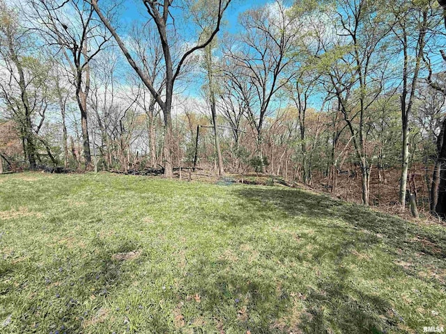view of yard featuring a view of trees