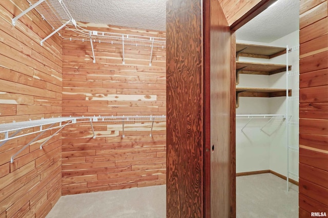 spacious closet featuring carpet flooring