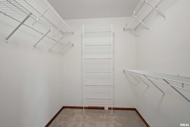 spacious closet featuring carpet floors