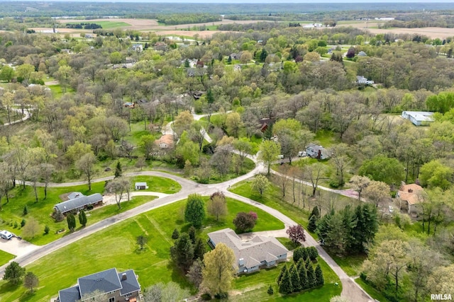 bird's eye view