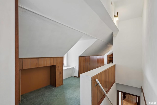 additional living space featuring carpet and vaulted ceiling
