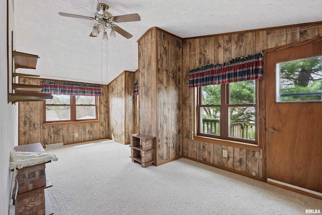 interior space featuring ceiling fan, wood walls, and a healthy amount of sunlight