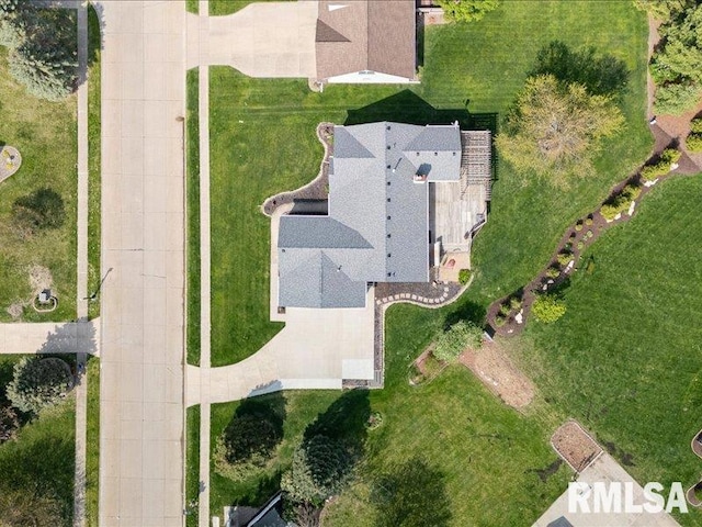 bird's eye view