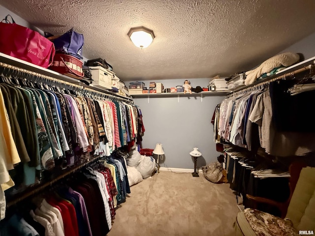 106 Jeremy Dr, Carterville, IL 62918 - walk in closet with carpet floors
