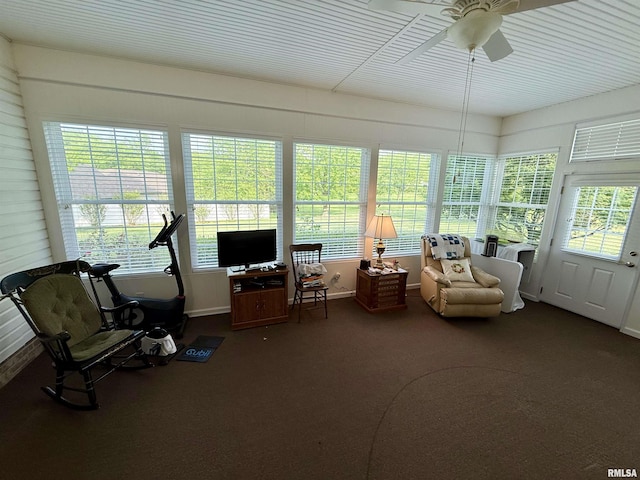 106 Jeremy Dr, Carterville, IL 62918 - sunroom / solarium featuring baseboards, a wealth of natural light, and carpet