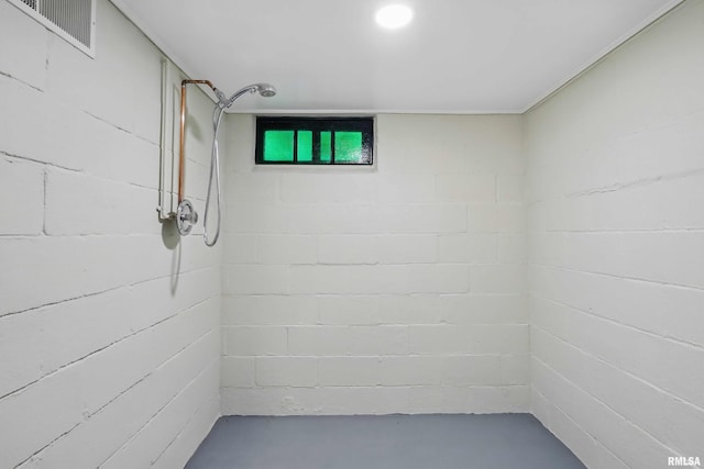 basement with visible vents