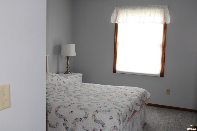 bedroom featuring carpet floors, baseboards, and multiple windows