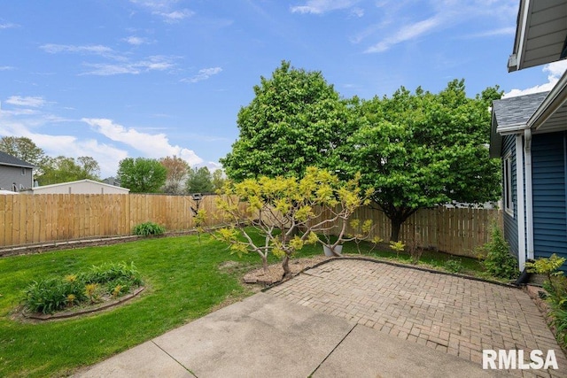 view of yard featuring a fenced backyard and a patio area