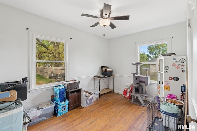 misc room featuring light wood-type flooring, a ceiling fan, and a wealth of natural light