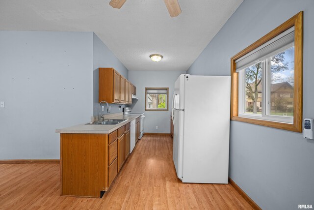 kitchen with a sink, light countertops, light wood-style floors, and white appliances
