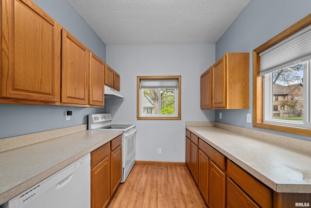 kitchen featuring a healthy amount of sunlight, white appliances, light wood-type flooring, light countertops, and a textured ceiling