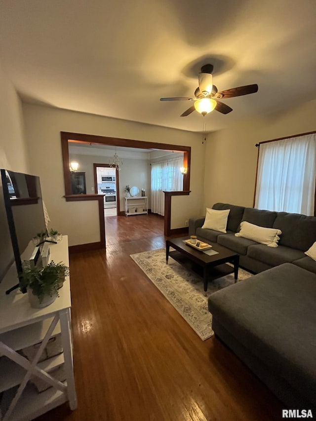 living room with ceiling fan with notable chandelier and dark wood-type flooring