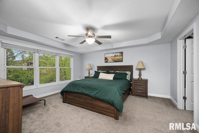 bedroom featuring baseboards, carpet, and a raised ceiling