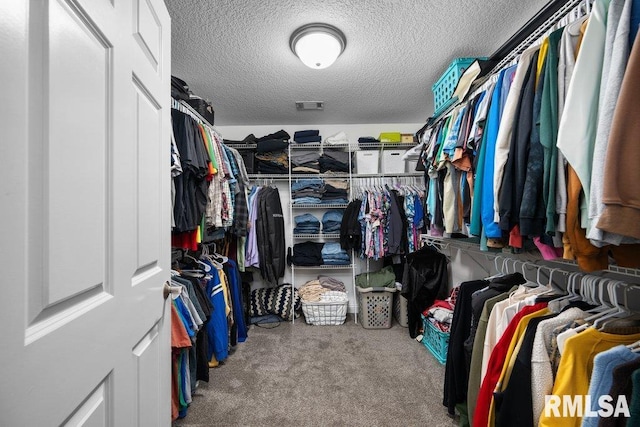 walk in closet with visible vents and carpet
