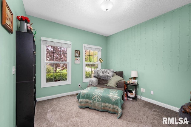 sitting room featuring baseboards, a textured ceiling, and carpet