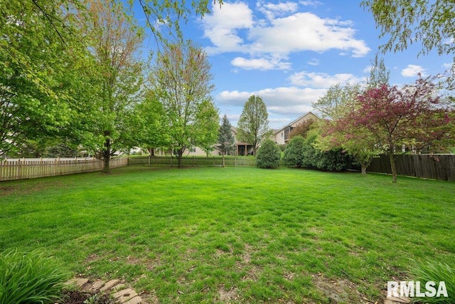 view of yard with a fenced backyard