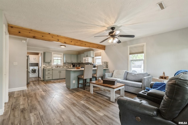 living area with a ceiling fan, light wood finished floors, washer / clothes dryer, and a healthy amount of sunlight