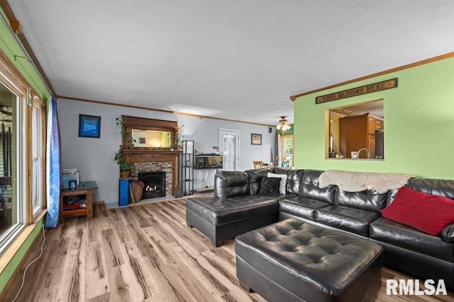 living room featuring crown molding, a fireplace, and wood finished floors