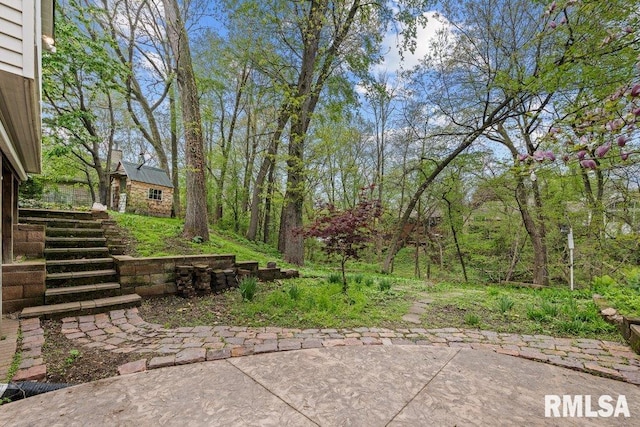 view of yard with a patio area
