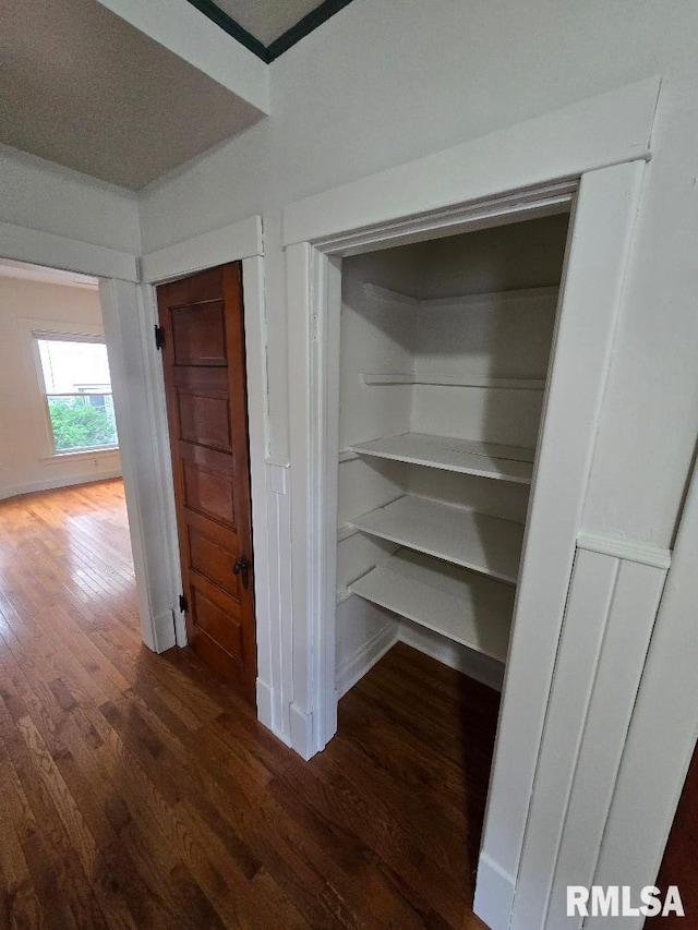 view of closet