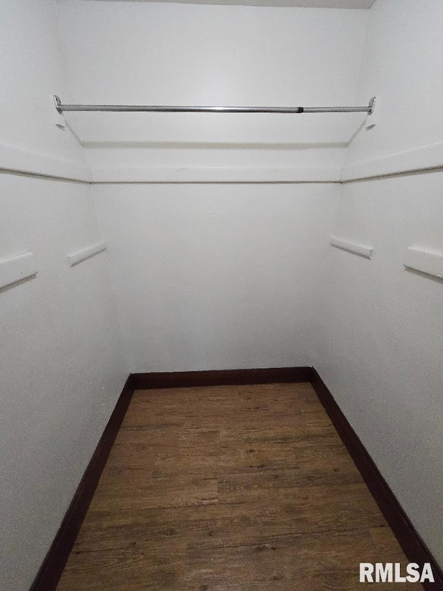 walk in closet with dark wood finished floors