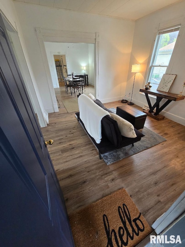 818 16th Ave, Fulton, IL 61252 - living area featuring baseboards and wood finished floors