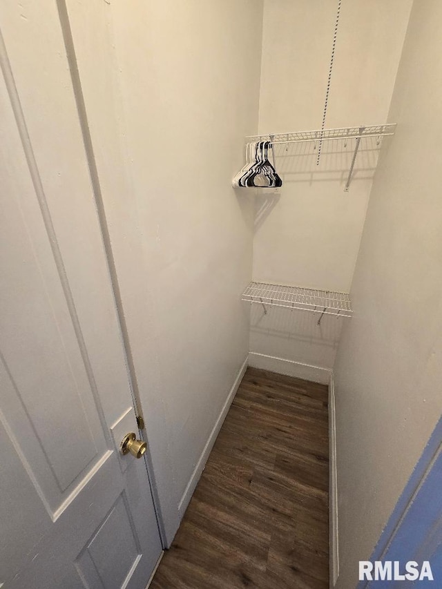 818 16th Ave, Fulton, IL 61252 - walk in closet with wood finished floors