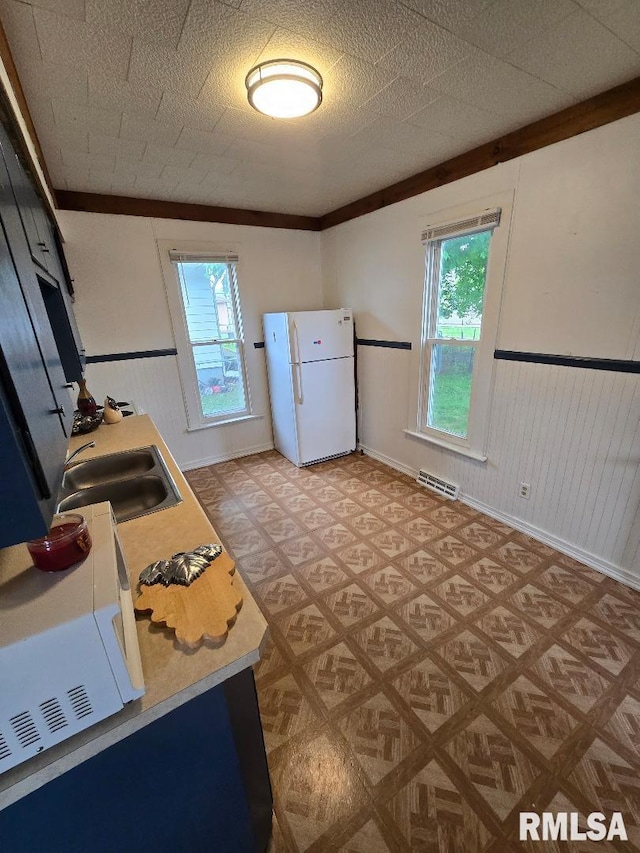 818 16th Ave, Fulton, IL 61252 - kitchen with a sink, light floors, plenty of natural light, and white appliances