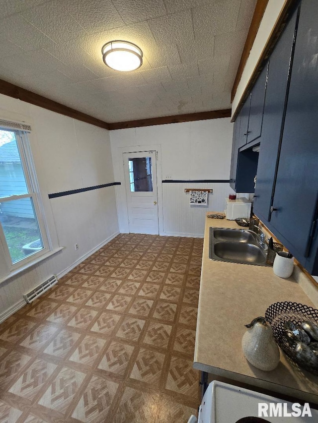 818 16th Ave, Fulton, IL 61252 - kitchen featuring visible vents, ornamental molding, light floors, blue cabinets, and a sink