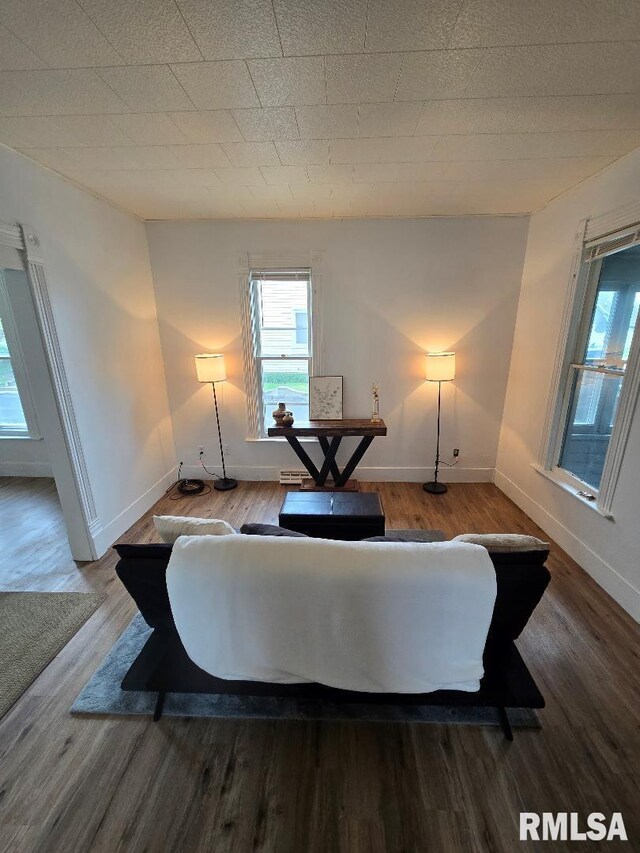 818 16th Ave, Fulton, IL 61252 - living area with plenty of natural light, baseboards, and wood finished floors