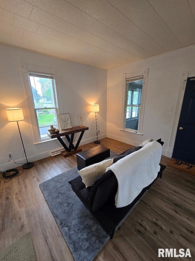818 16th Ave, Fulton, IL 61252 - living area featuring baseboards, a healthy amount of sunlight, and wood finished floors