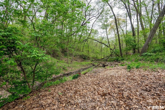 view of nature featuring a wooded view