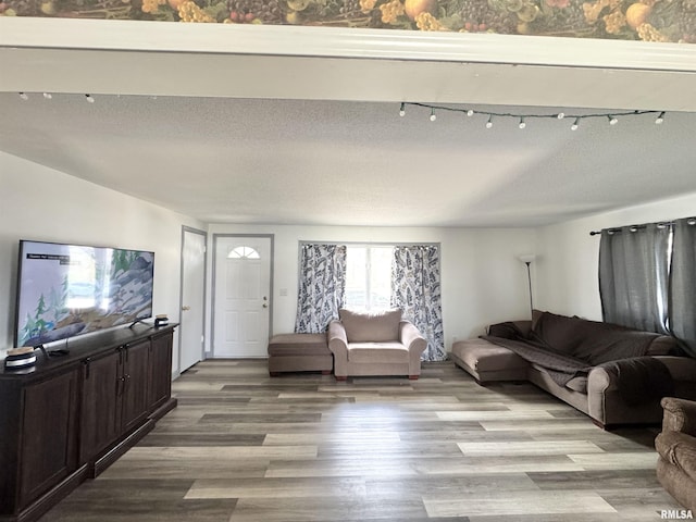 living room with a textured ceiling and wood finished floors