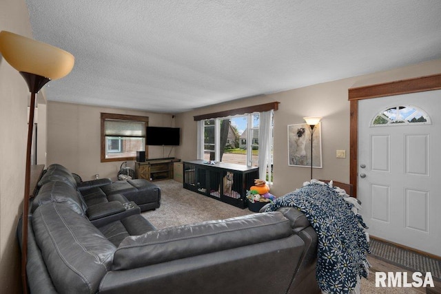 living area with a textured ceiling and carpet flooring