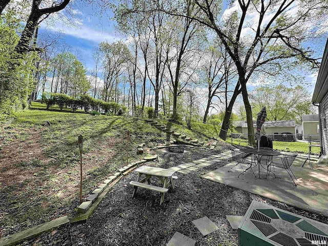 view of yard with a patio area and fence
