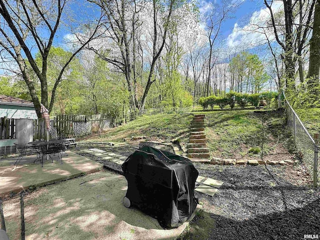 view of yard with a fenced backyard and a patio area