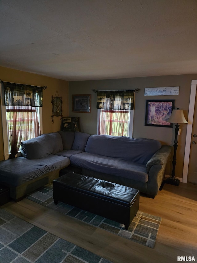 717 NE 2nd St, Galva, IL 61434 - living area featuring wood finished floors